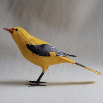 OROPÉNDOLA - ORIOLUS ORIOLUS