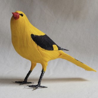 OROPÉNDOLA - ORIOLUS ORIOLUS