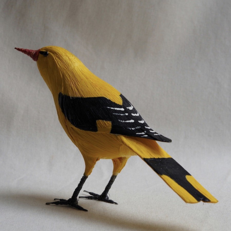 OROPÉNDOLA - ORIOLUS ORIOLUS