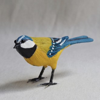 HERRERILLO - CYANISTES CAERULEUS