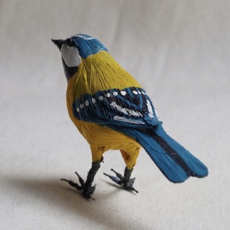 HERRERILLO - CYANISTES CAERULEUS