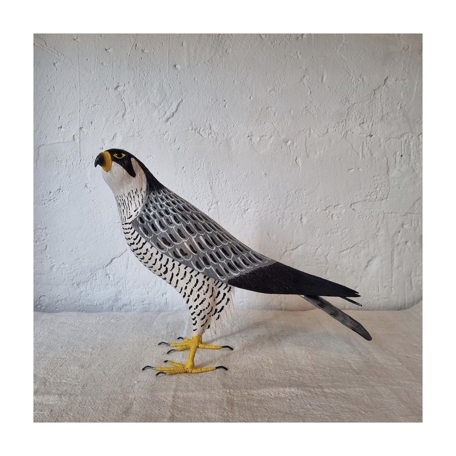 HALCÓN PEREGRINO - FALCO PEREGRINUS