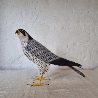 HALCÓN PEREGRINO - FALCO PEREGRINUS