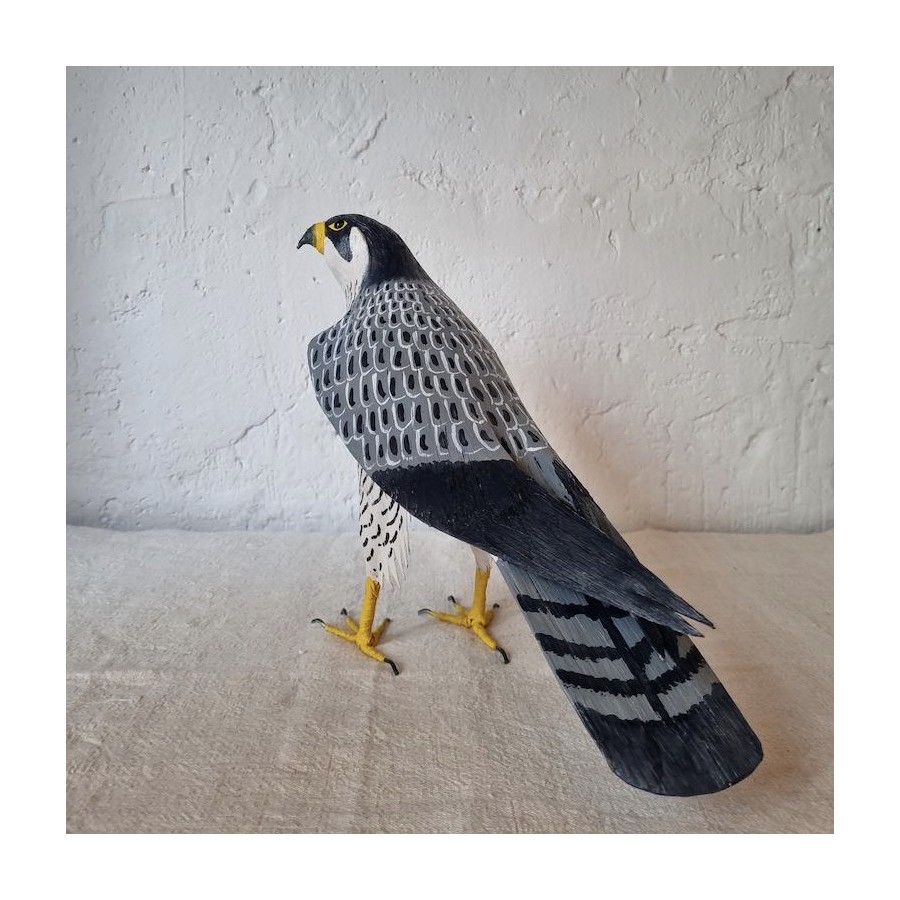 HALCÓN PEREGRINO - FALCO PEREGRINUS