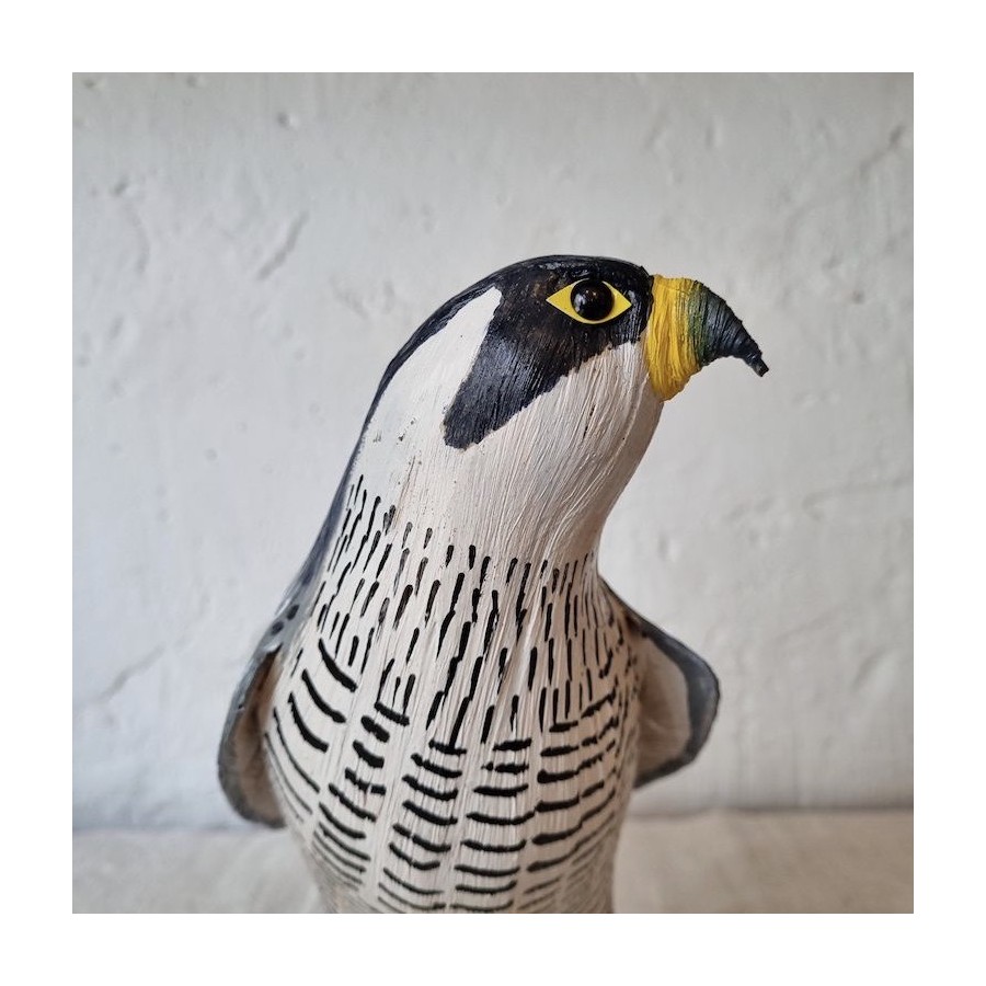 HALCÓN PEREGRINO - FALCO PEREGRINUS