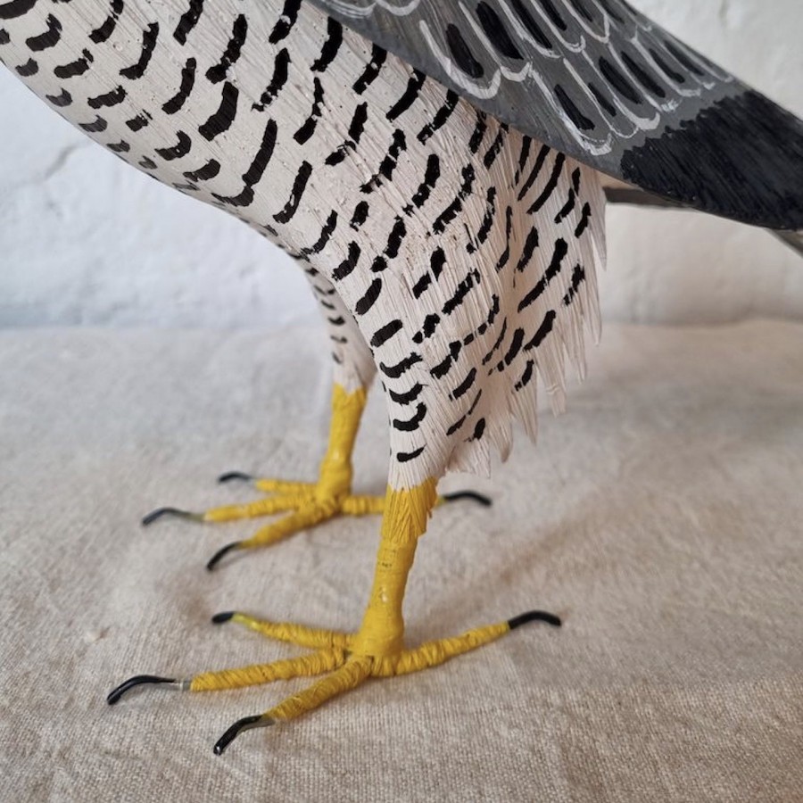 HALCÓN PEREGRINO - FALCO PEREGRINUS