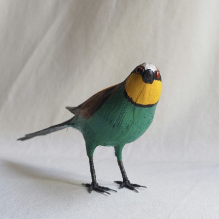 ABEJARUCO - MEROPS APIASTER