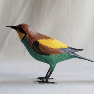 ABEJARUCO - MEROPS APIASTER