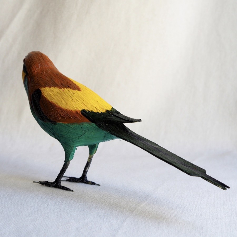 ABEJARUCO - MEROPS APIASTER