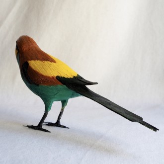 ABEJARUCO - MEROPS APIASTER