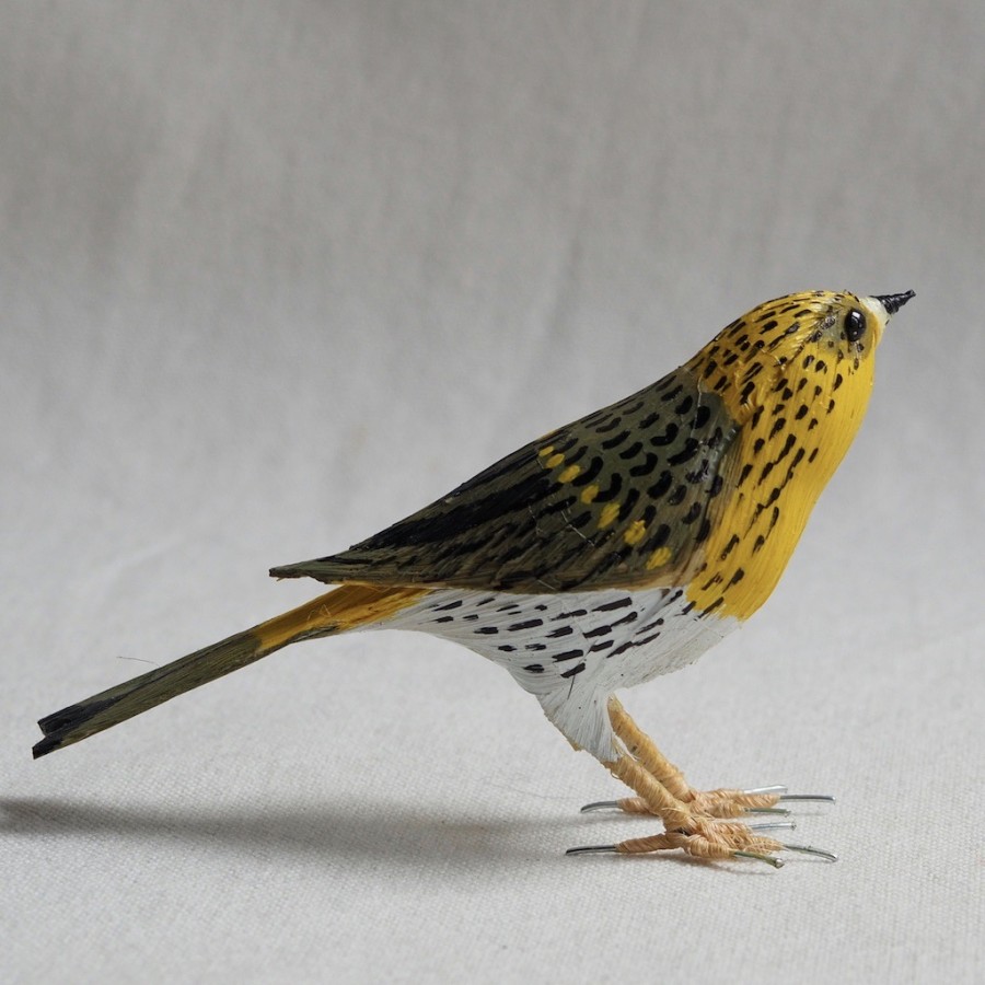 VERDECILLO - SERINUS SERINUS