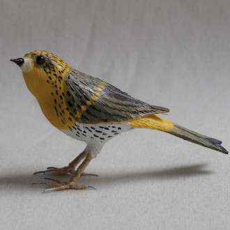 VERDECILLO - SERINUS SERINUS