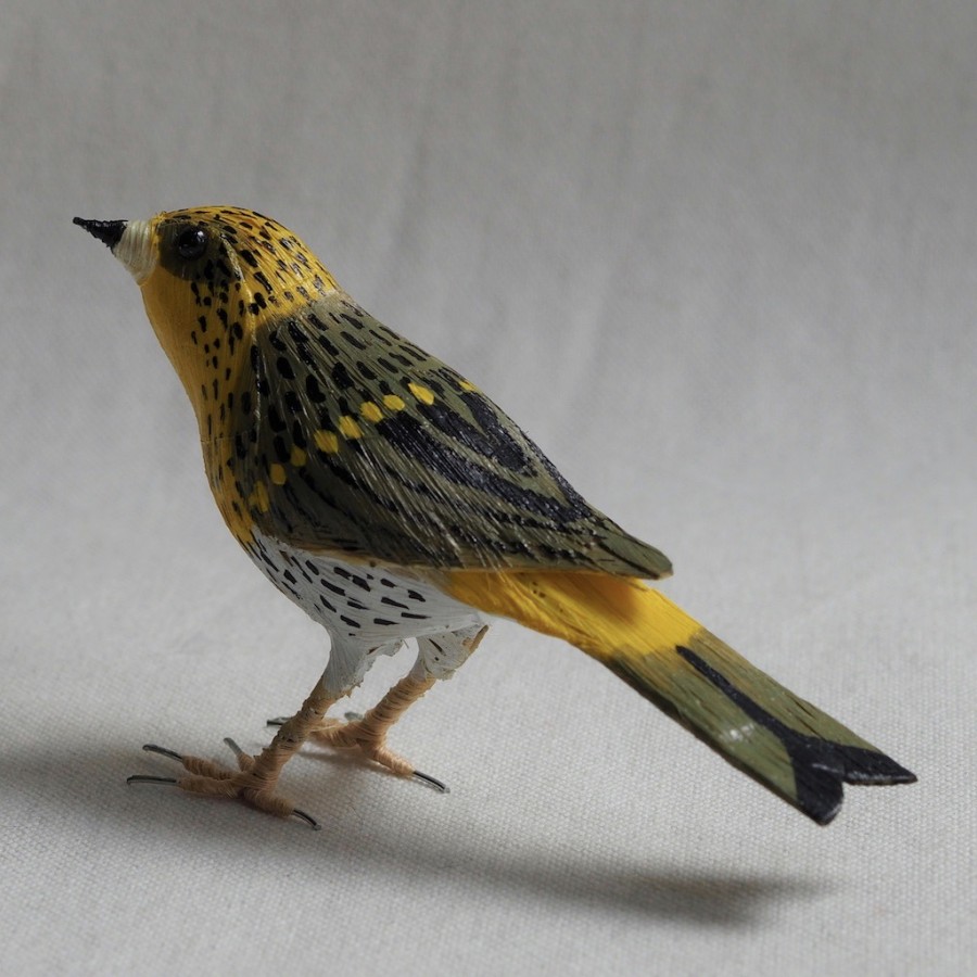 VERDECILLO - SERINUS SERINUS