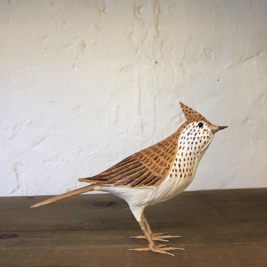 ALONDRA - ALAUDA ARVENSIS