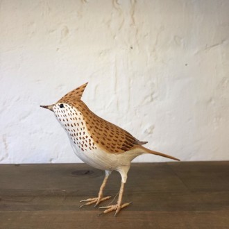 ALONDRA - ALAUDA ARVENSIS