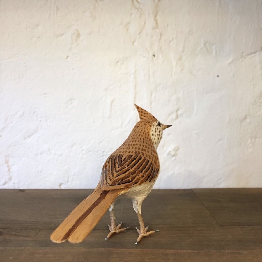 ALONDRA - ALAUDA ARVENSIS