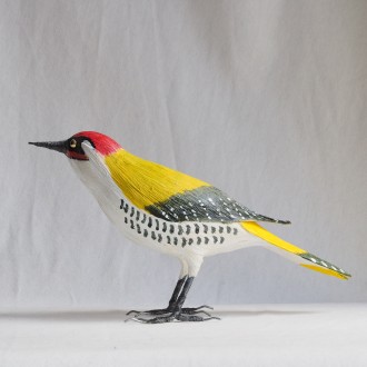 PITO REAL - PICUS VIRIDIS