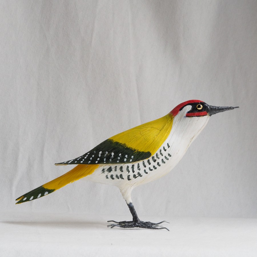 PITO REAL - PICUS VIRIDIS