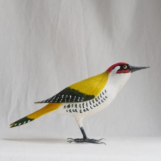 PITO REAL - PICUS VIRIDIS