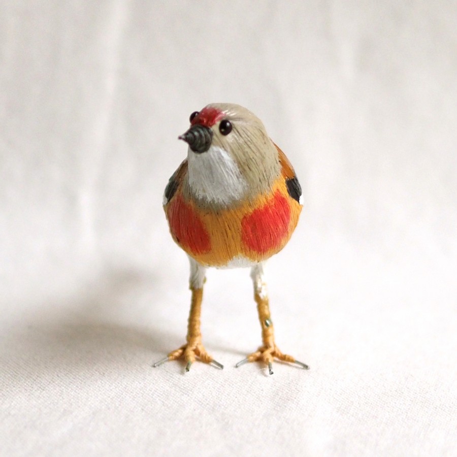 PARDILLO COMÚN - LINARIA CANNABINA