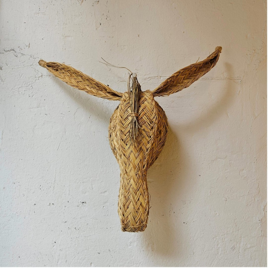 CABEZA BURRO M ESPARTO